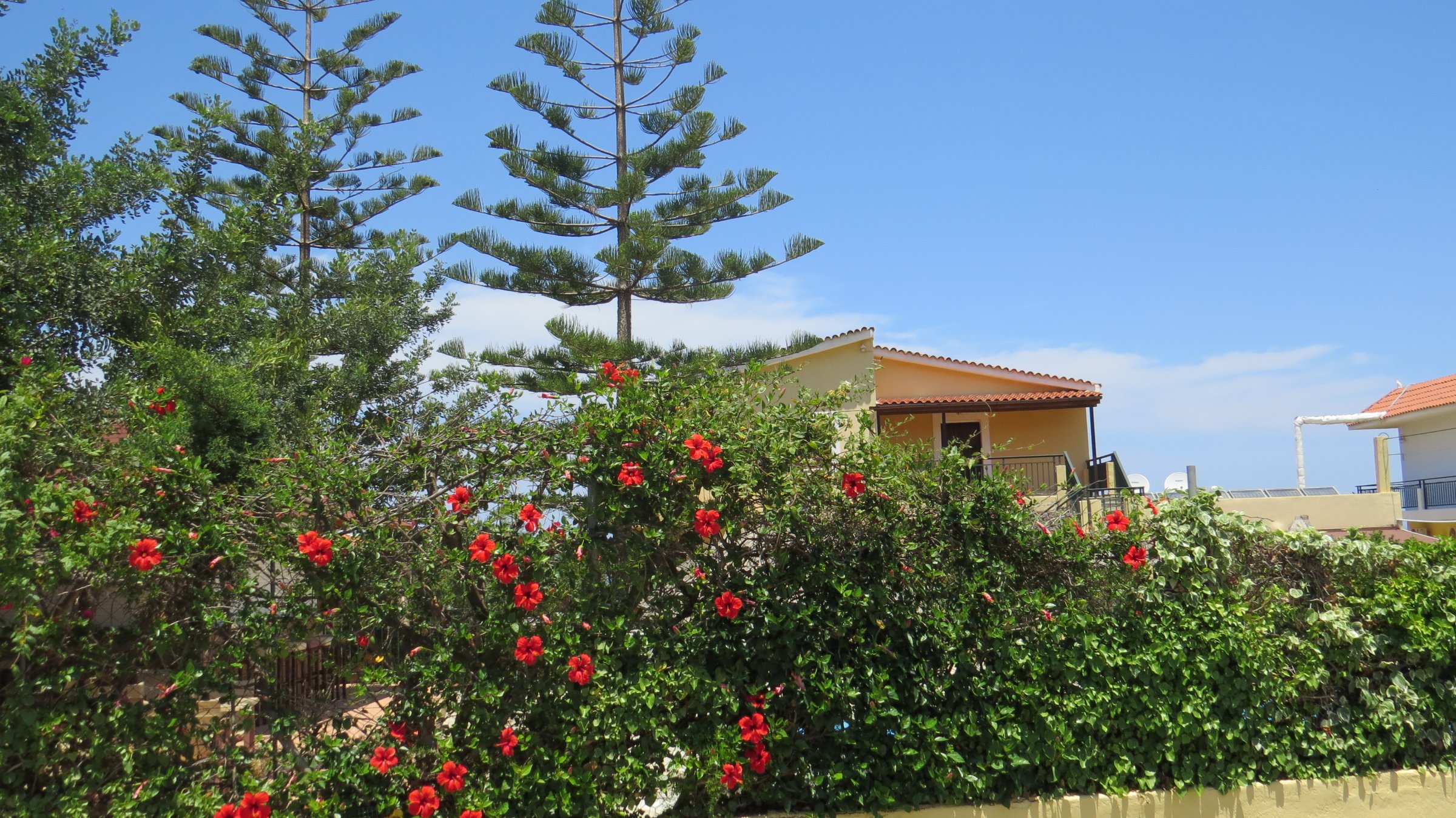 Villa Medusa