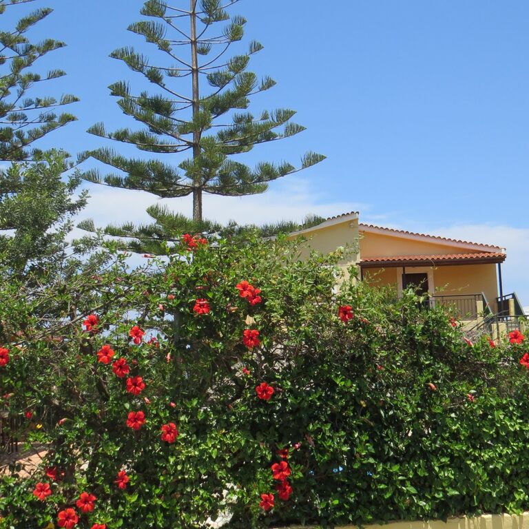 Villa Medusa
