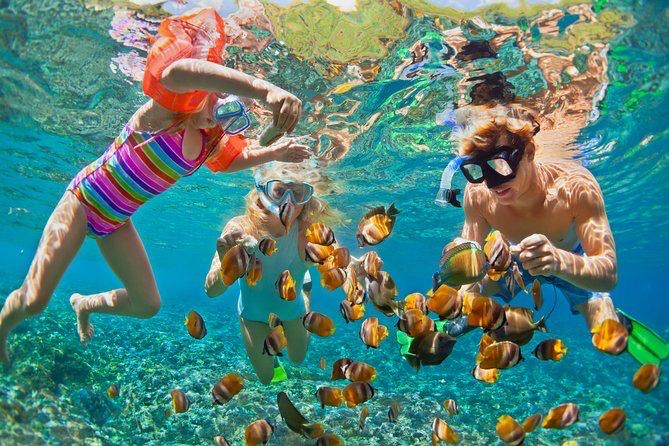 Jadevine Travel & Tours