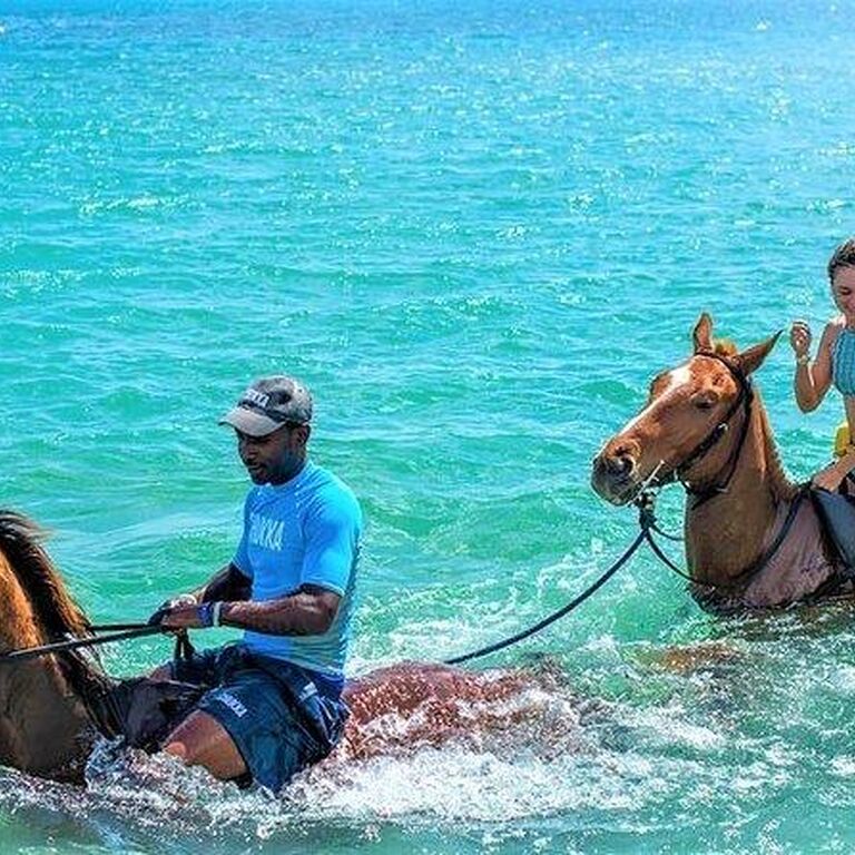 Jadevine Travel & Tours