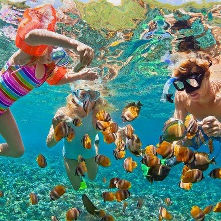 Jadevine Travel & Tours