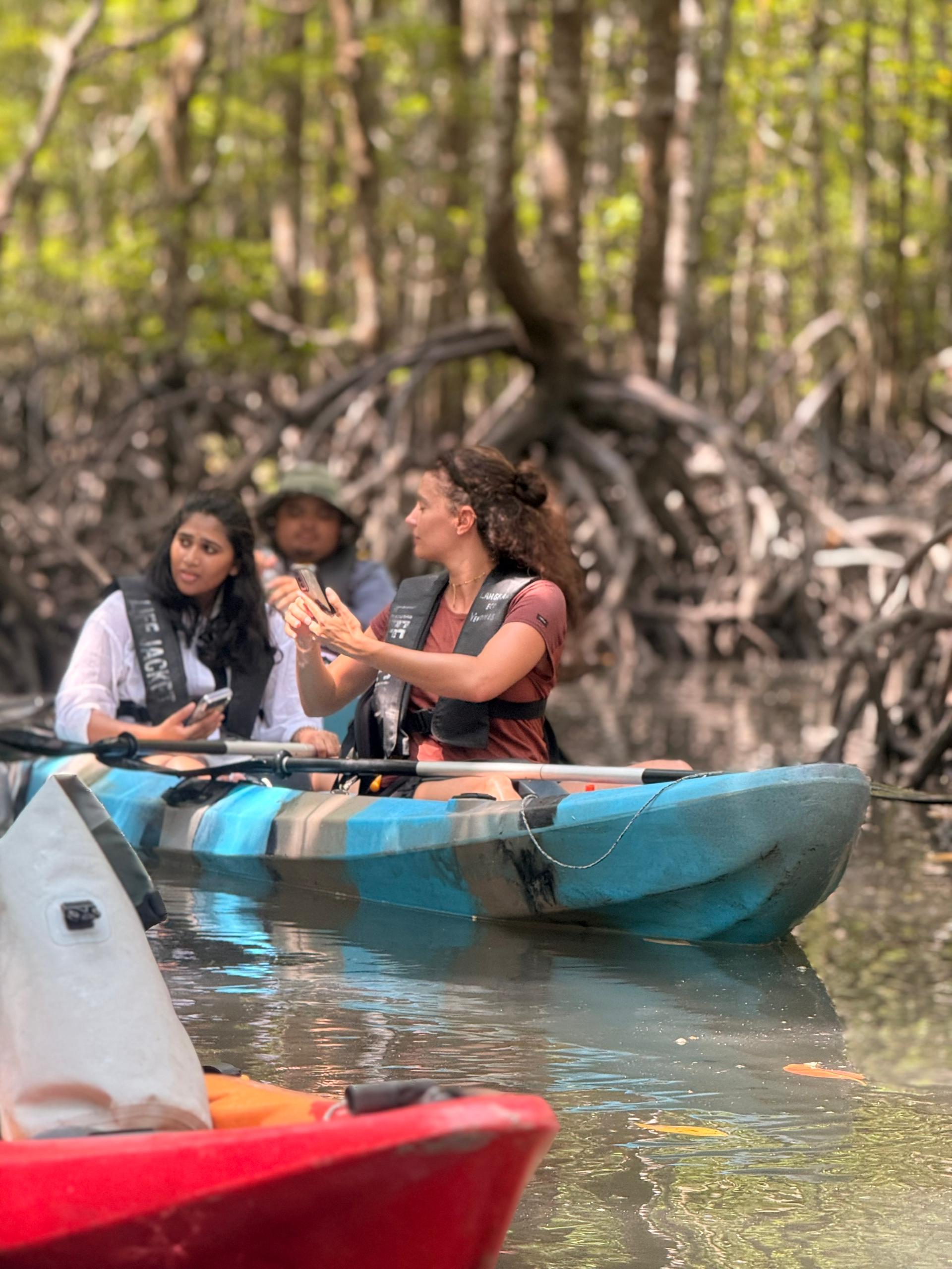 Mangrove Kayak Tour With Lunch