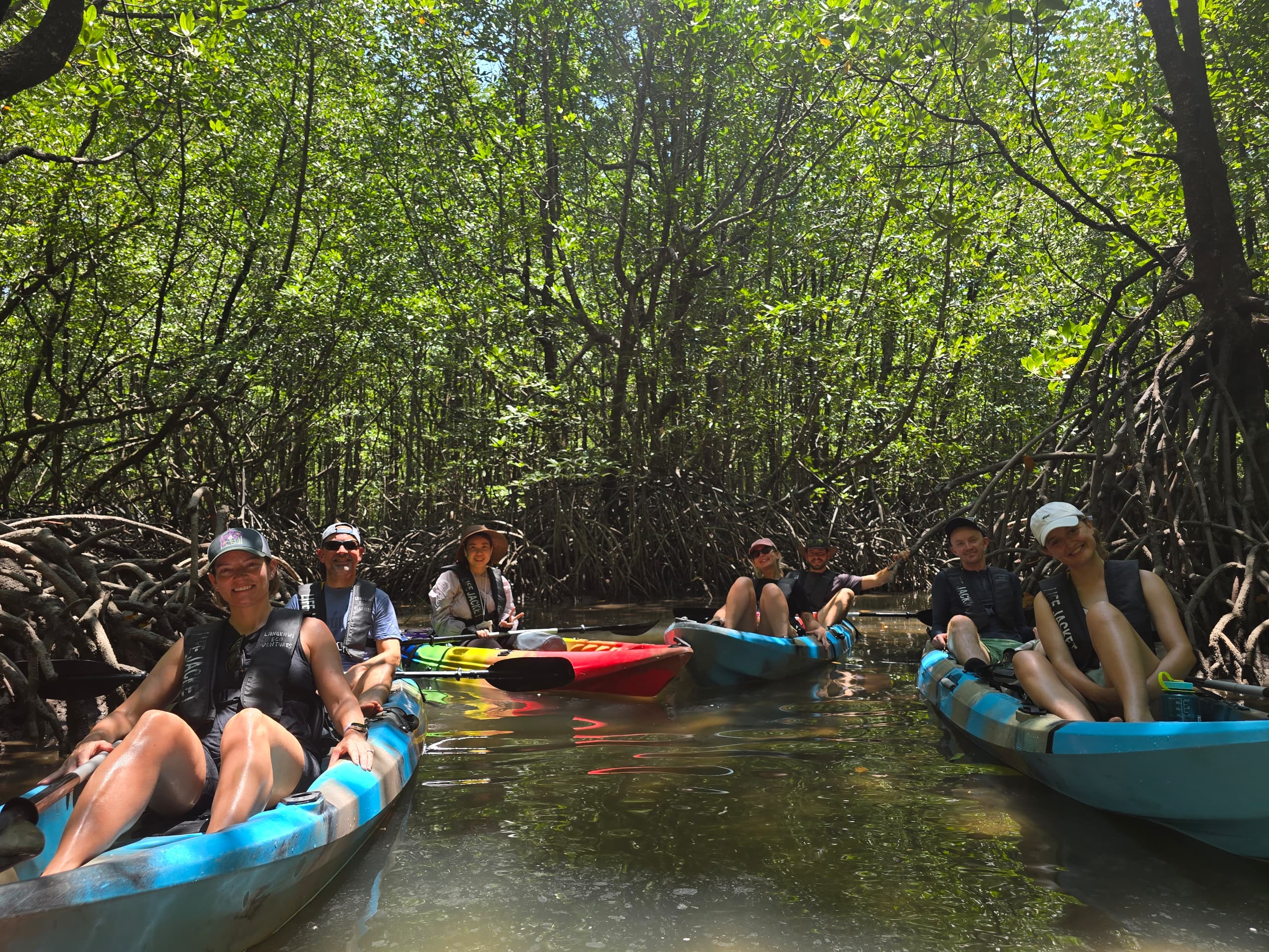 Mangrove Kayak Tour With Lunch
