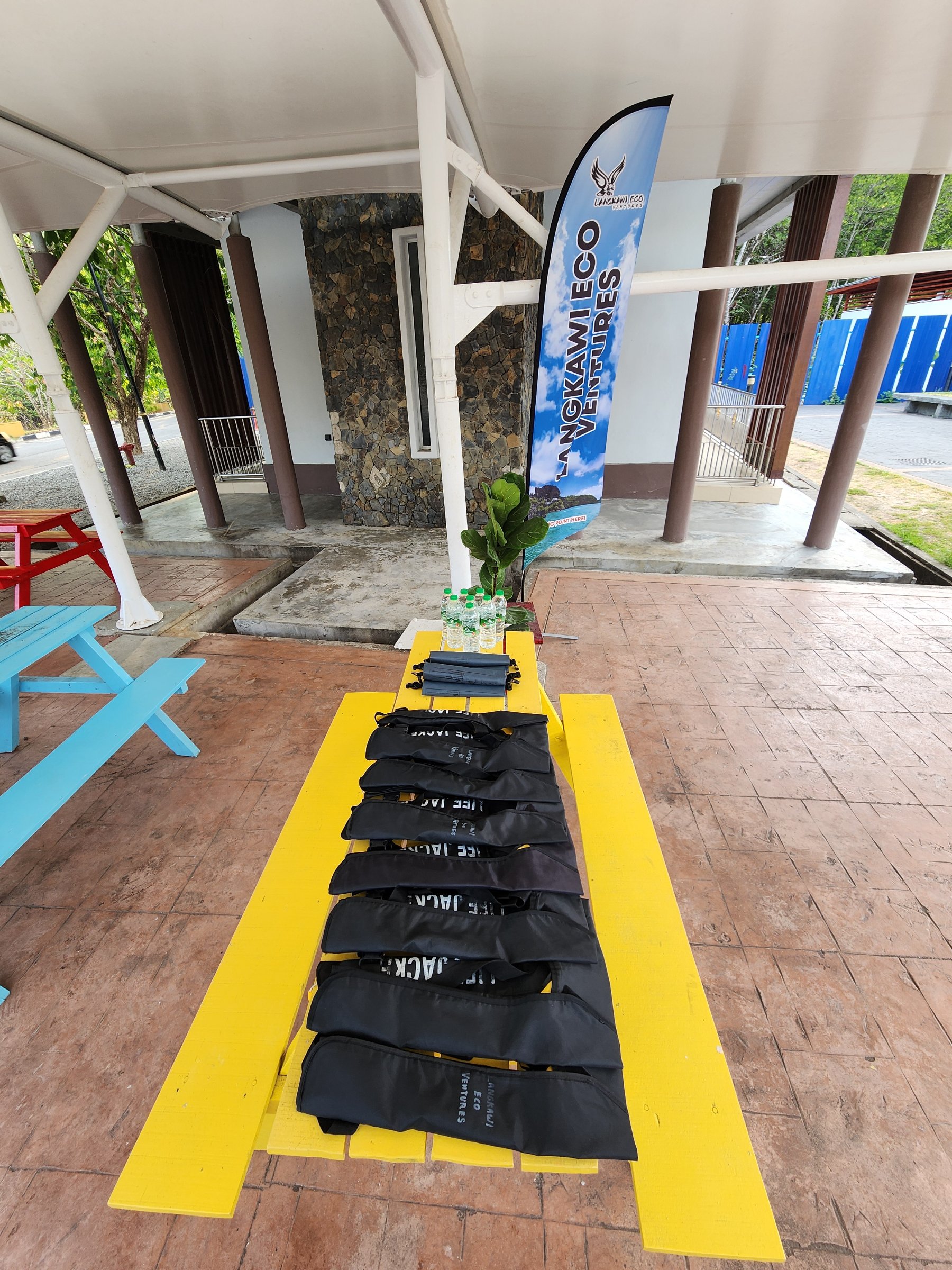 Mangrove Kayak Tour With Lunch