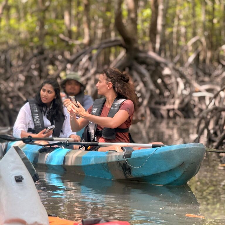 Mangrove Kayak Tour With Lunch