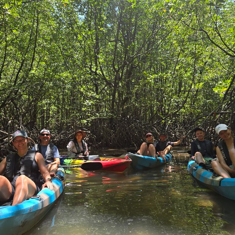 Mangrove Kayak Tour With Lunch