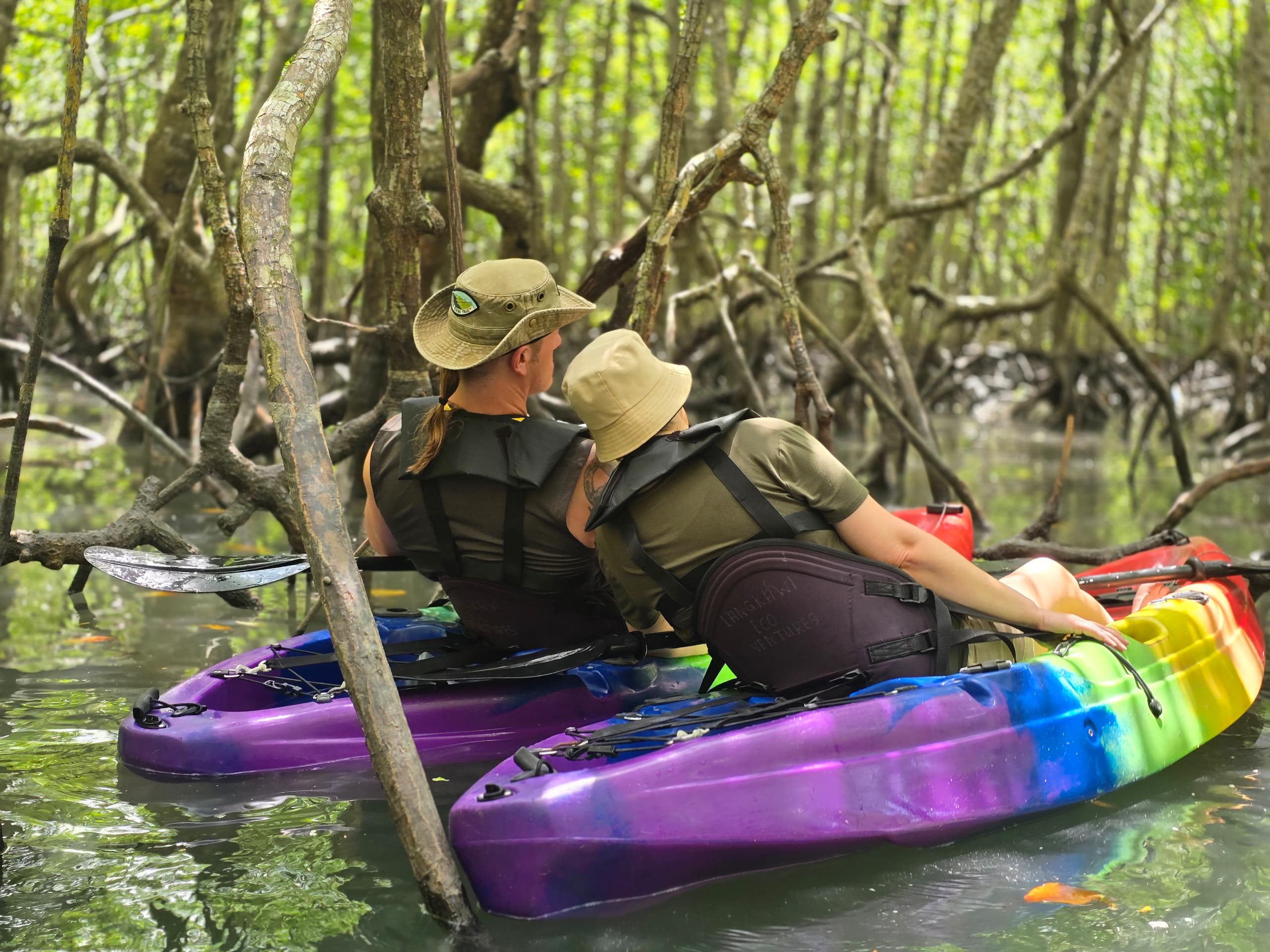 Mangrove Boat & Fun Kayak Tour