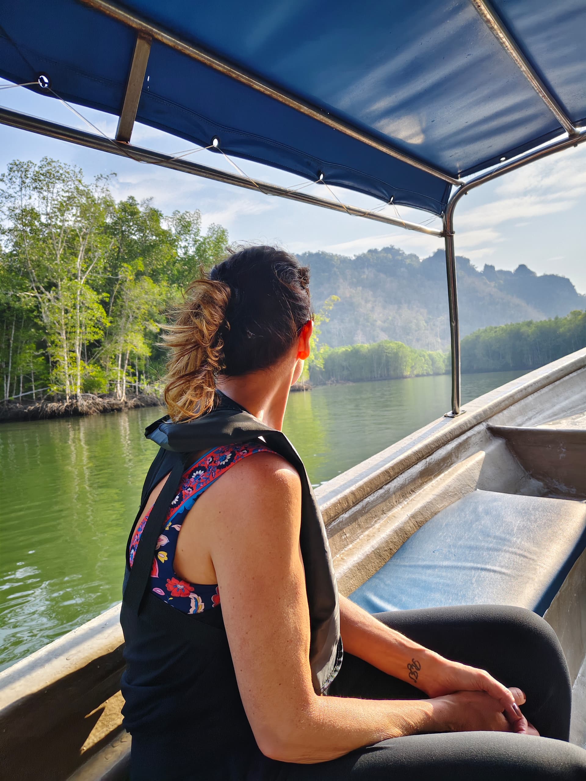 Mangrove Boat & Fun Kayak Tour