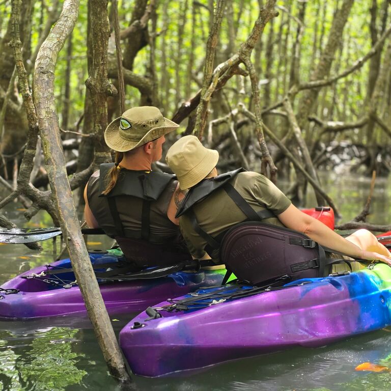 Mangrove Boat & Fun Kayak Tour