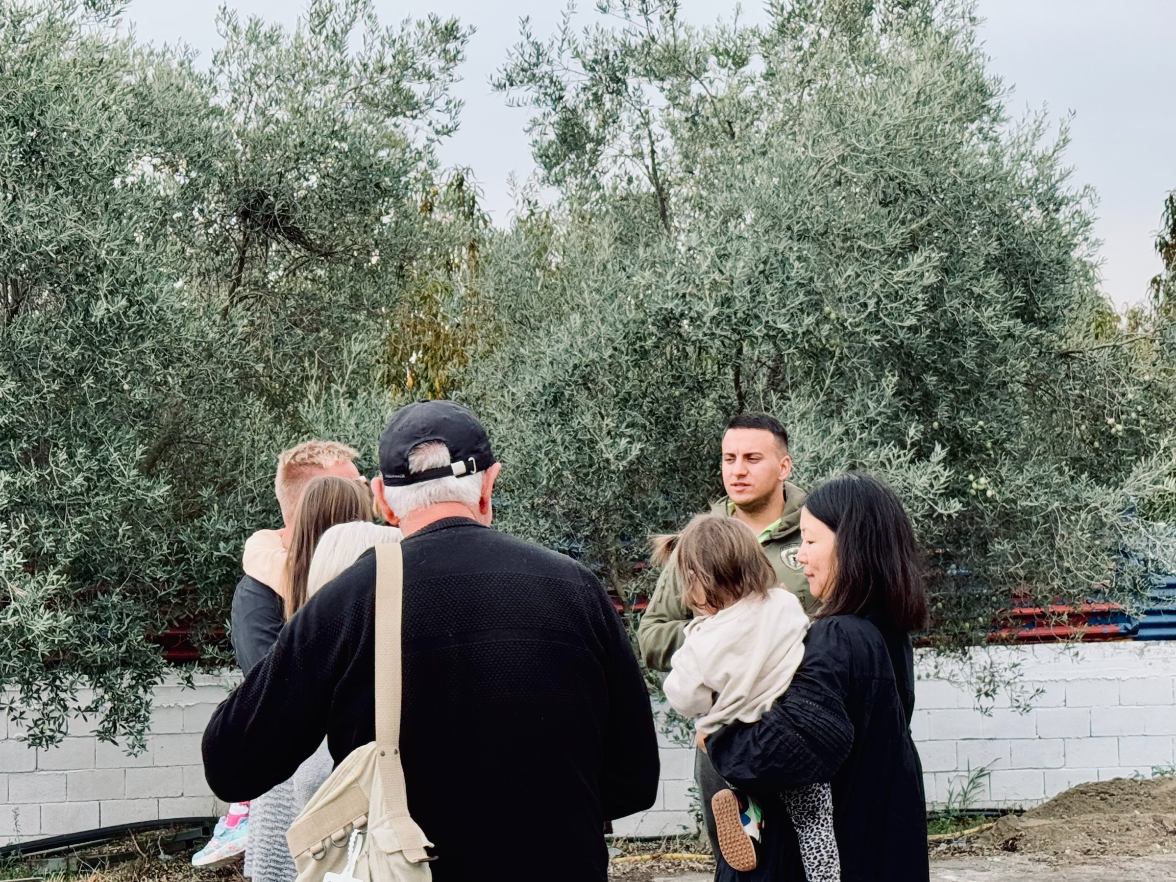 STALIDA OLIVE OIL