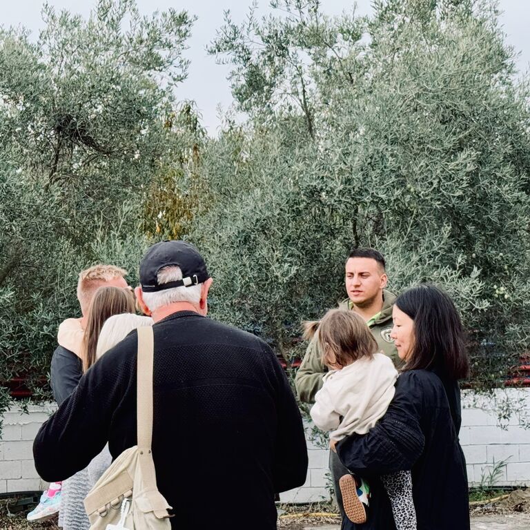 STALIDA OLIVE OIL