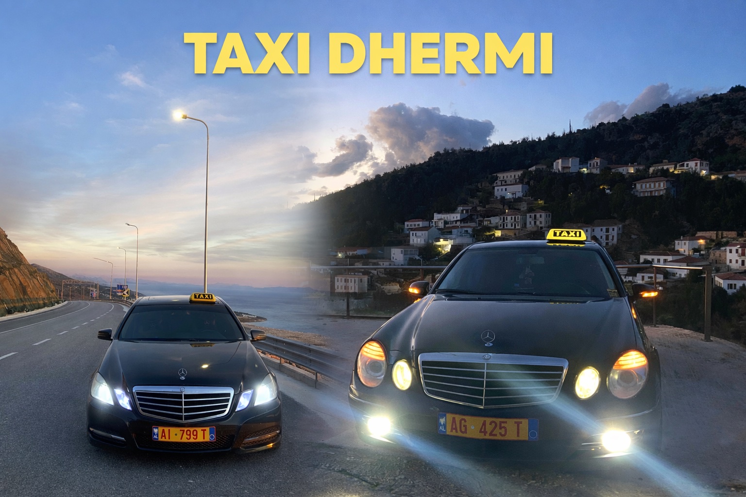 Taxidhermi