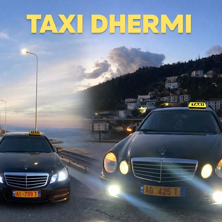 Taxidhermi