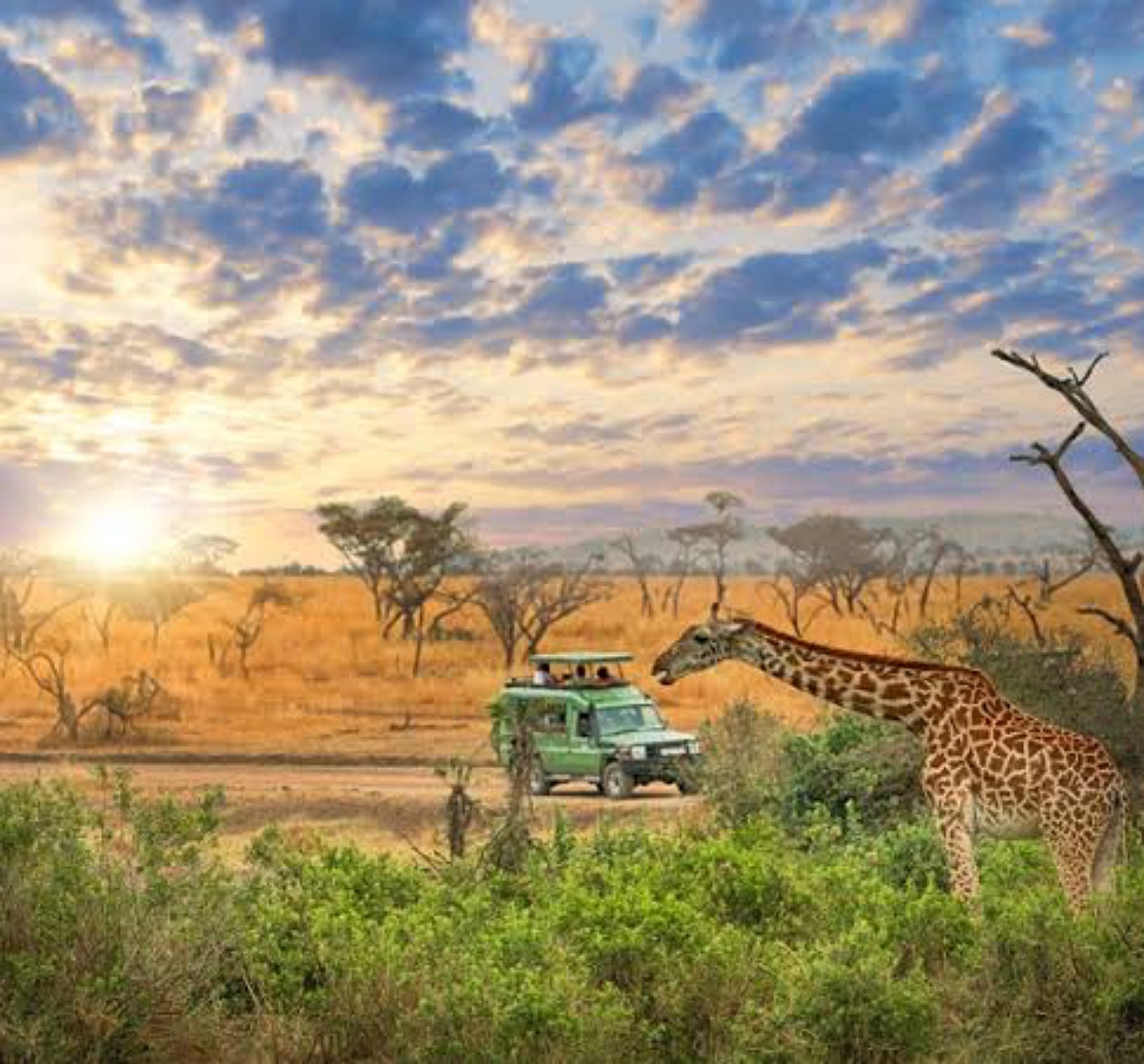 Season Master Adventures