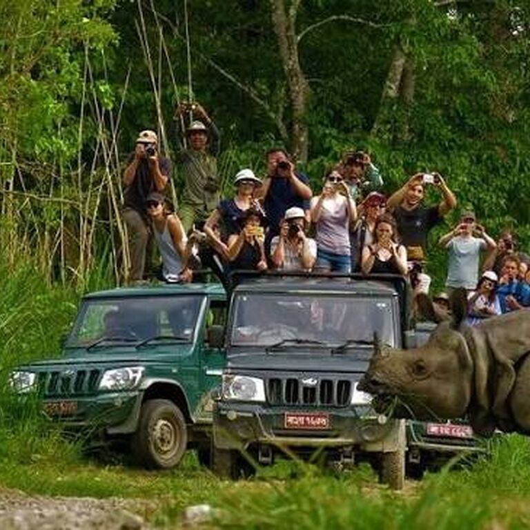 Travellers Jungle Camp