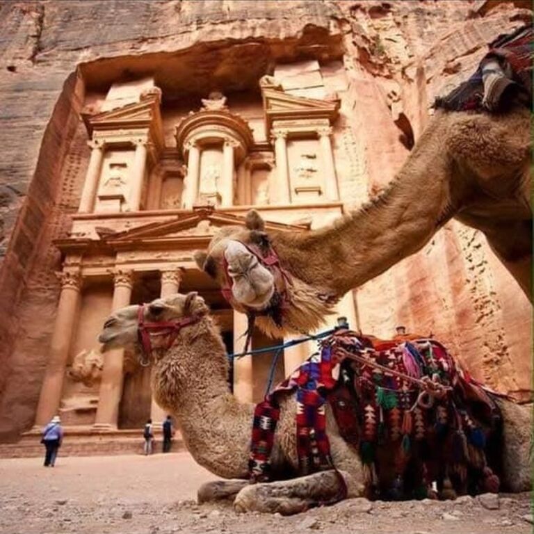 Ahmed