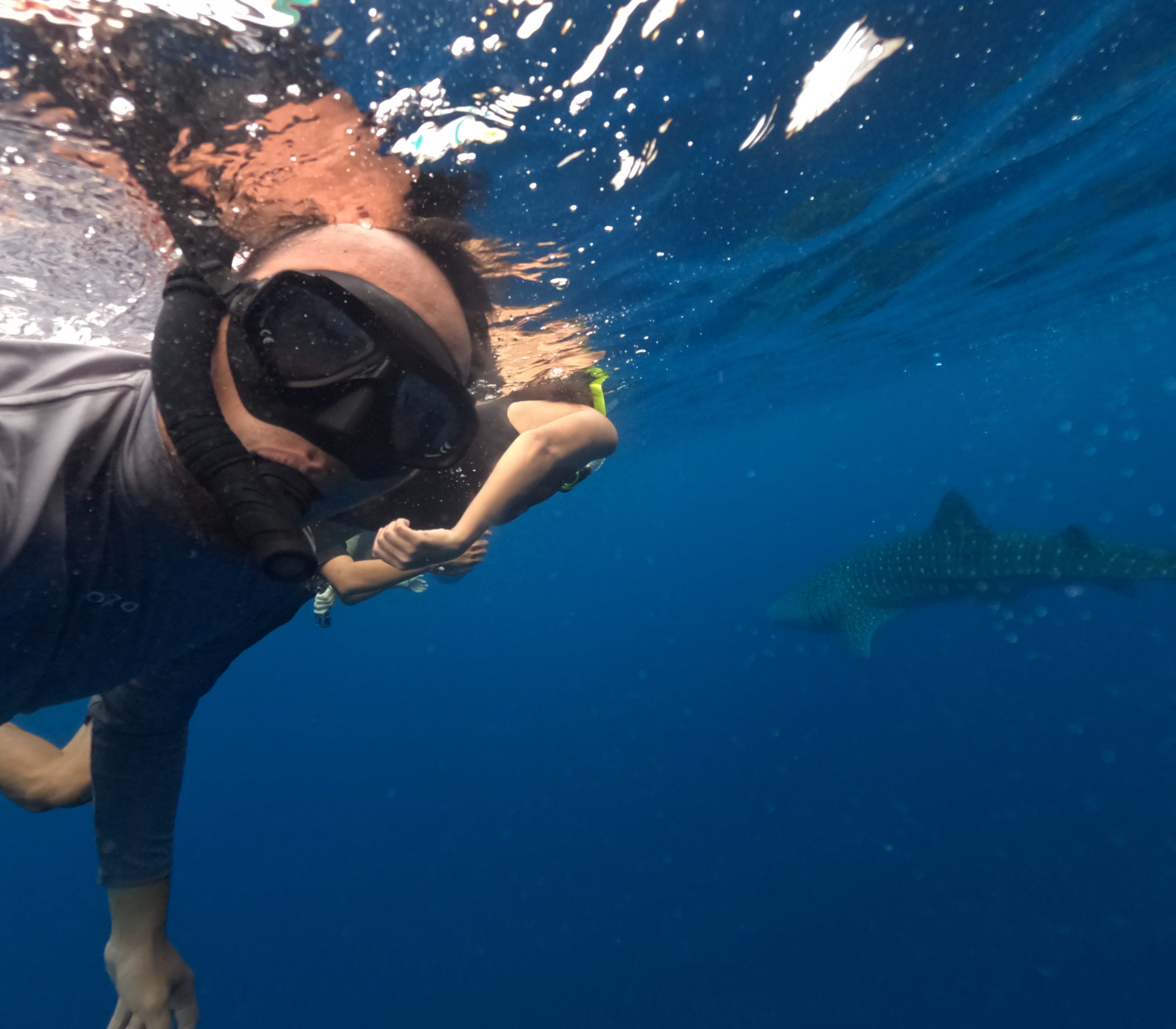 Sumbawa Explore Tour