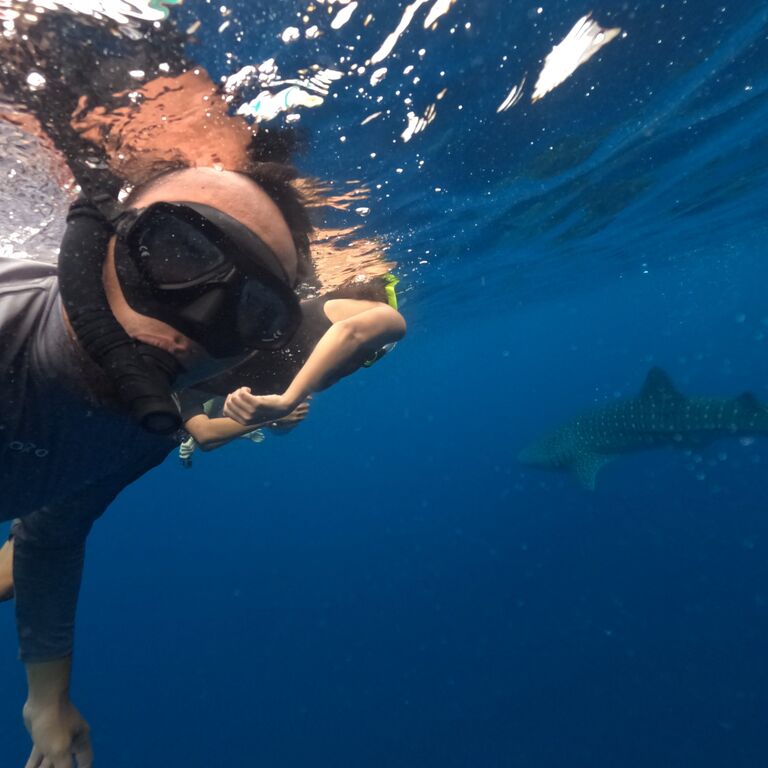Sumbawa Explore Tour