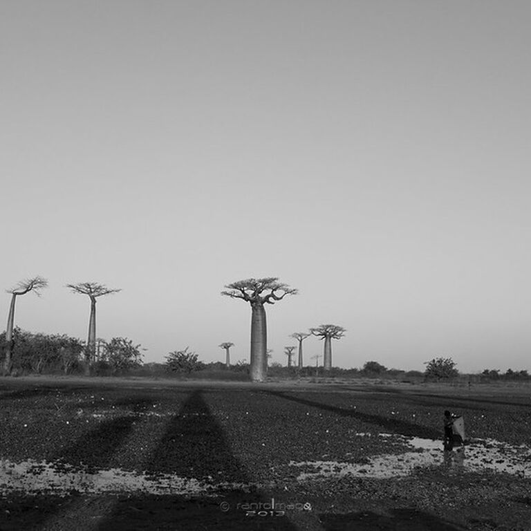 MADANORDSUD
