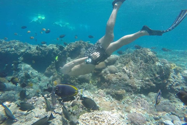 Bali Snorkeling Tour