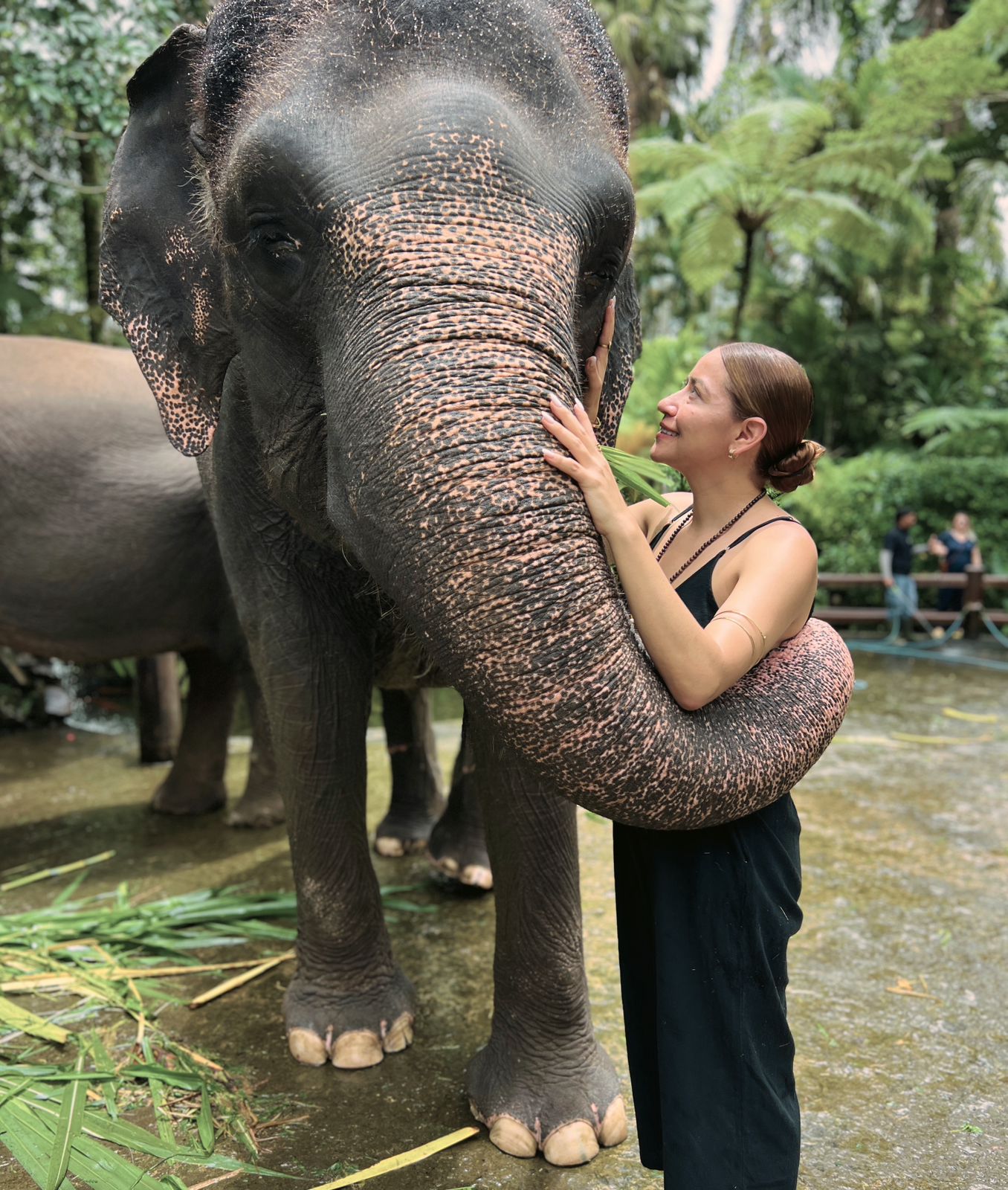 Komang Ubud Tour