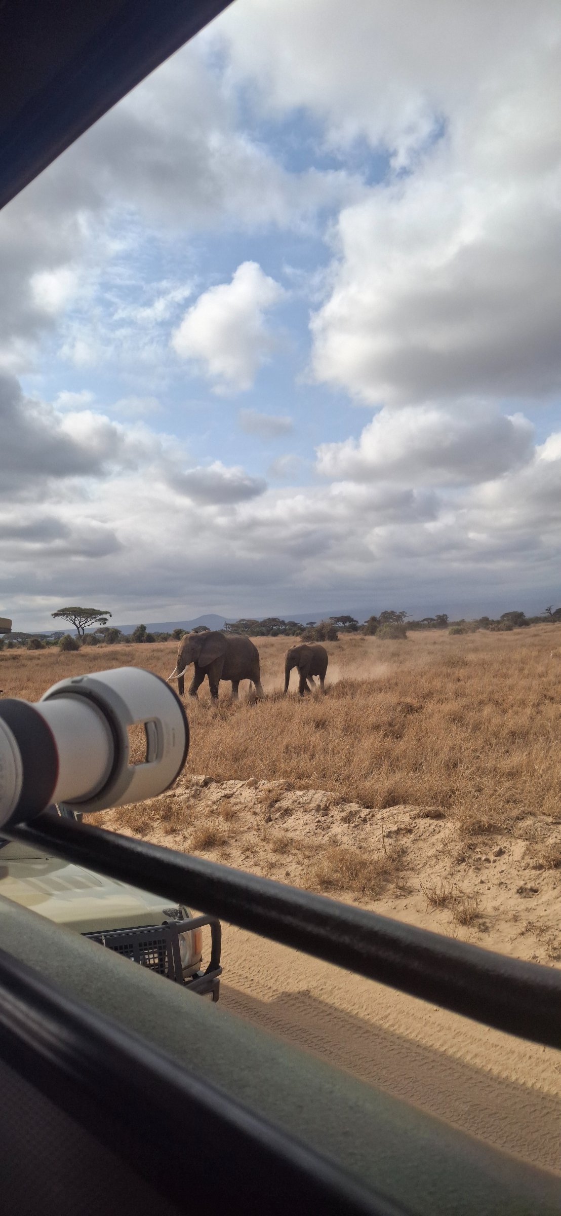 ReimiStar Safaris