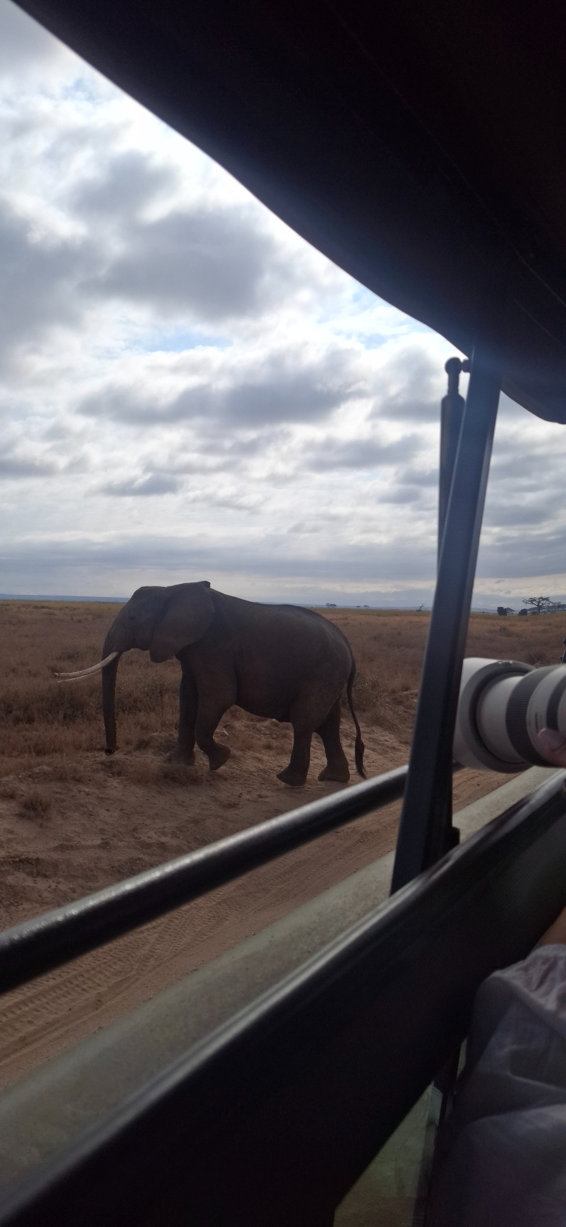 ReimiStar Safaris