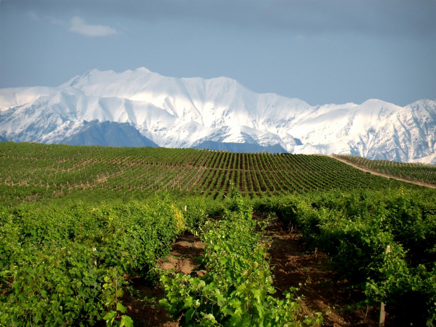 Chabiant Winery Hotel