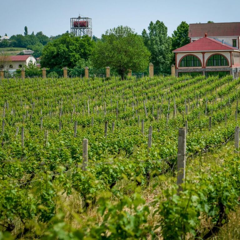 Chabiant Winery Hotel