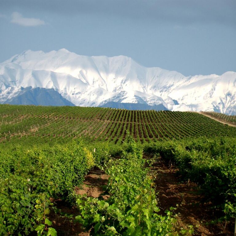 Chabiant Winery Hotel
