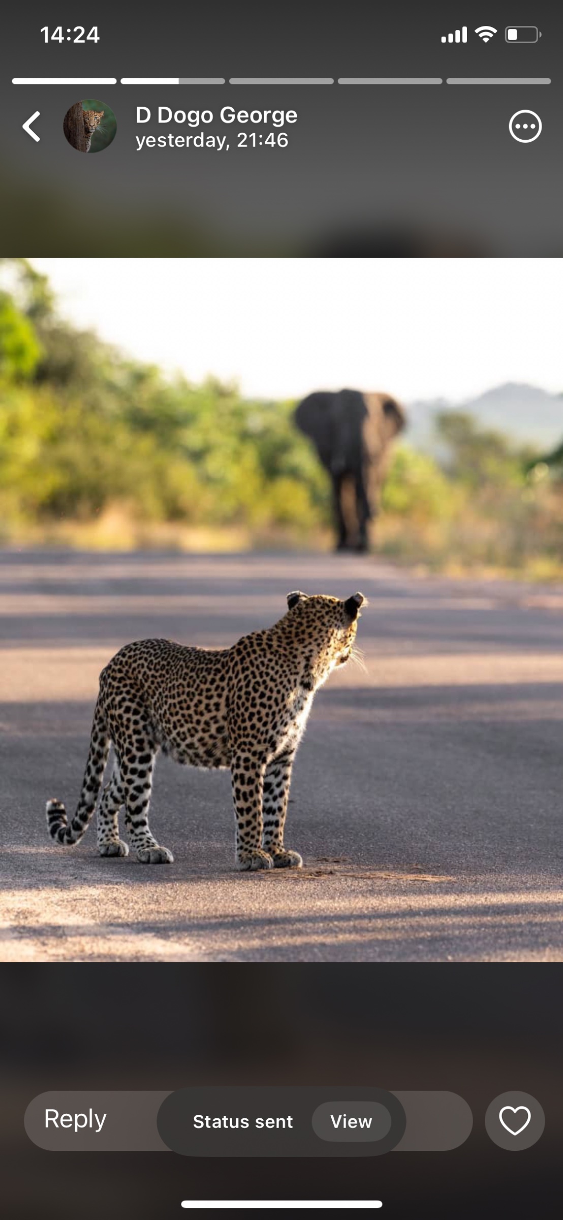 Safari Life Adventures