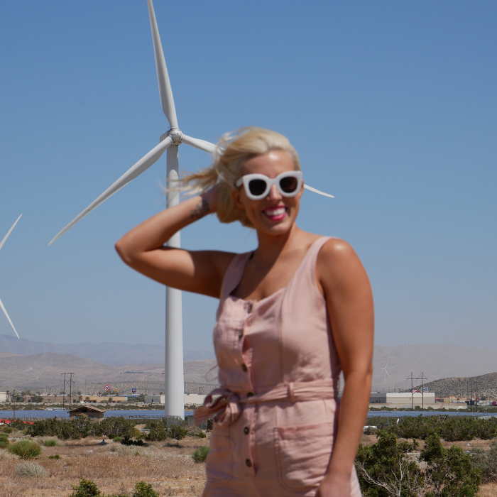 Palm Springs Windmill Tours
