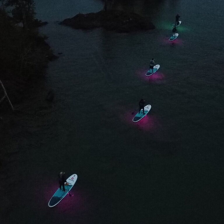 Pristine Paddleboard Adventures