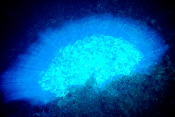 Elvin Tours Cabo Verde Sal