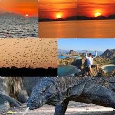 Komodo Heaven Tours