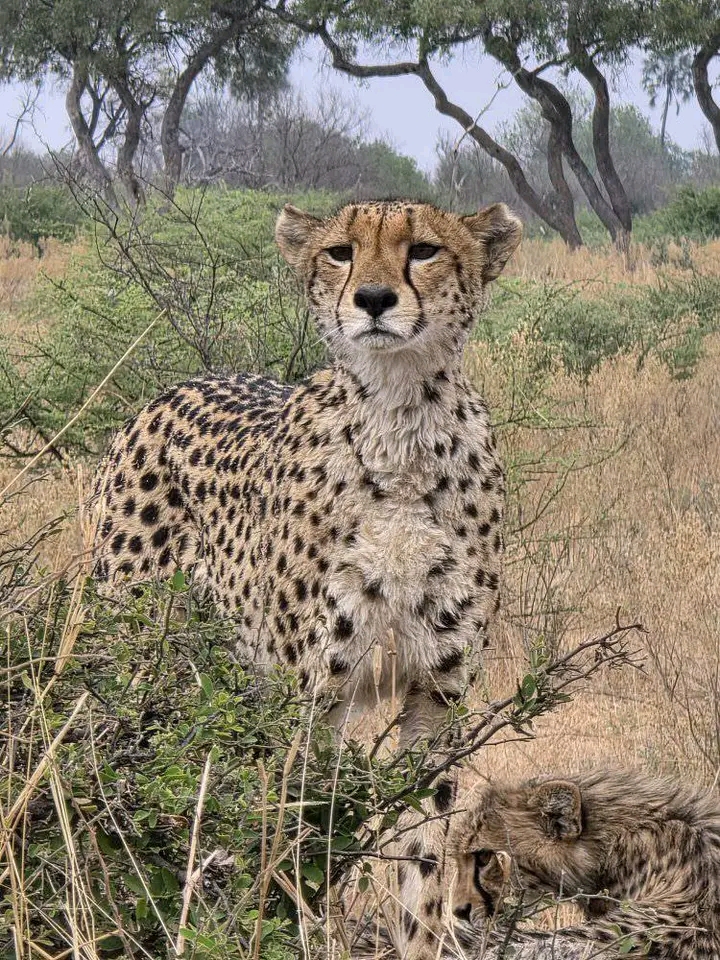 Nyala adventure safaris