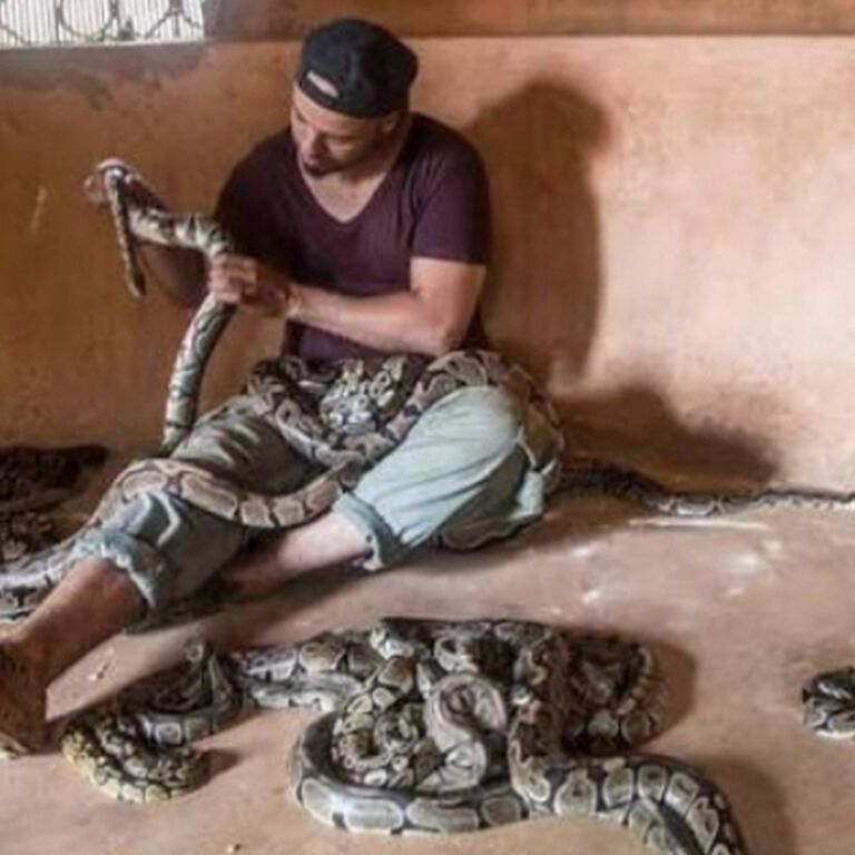 Tourist immersion in Ouidah