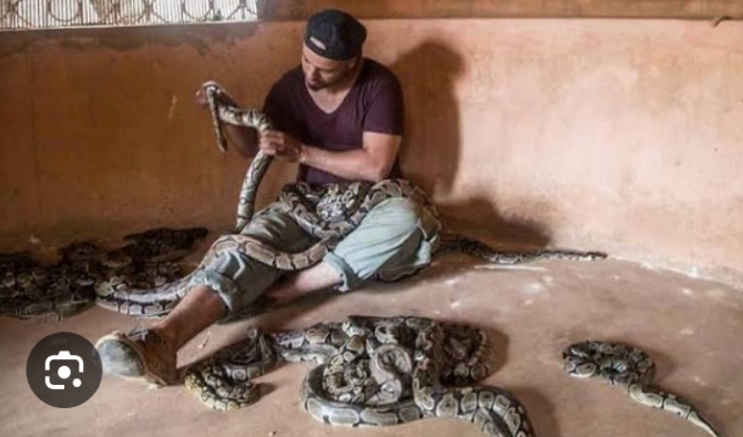 Tourist immersion in Ouidah