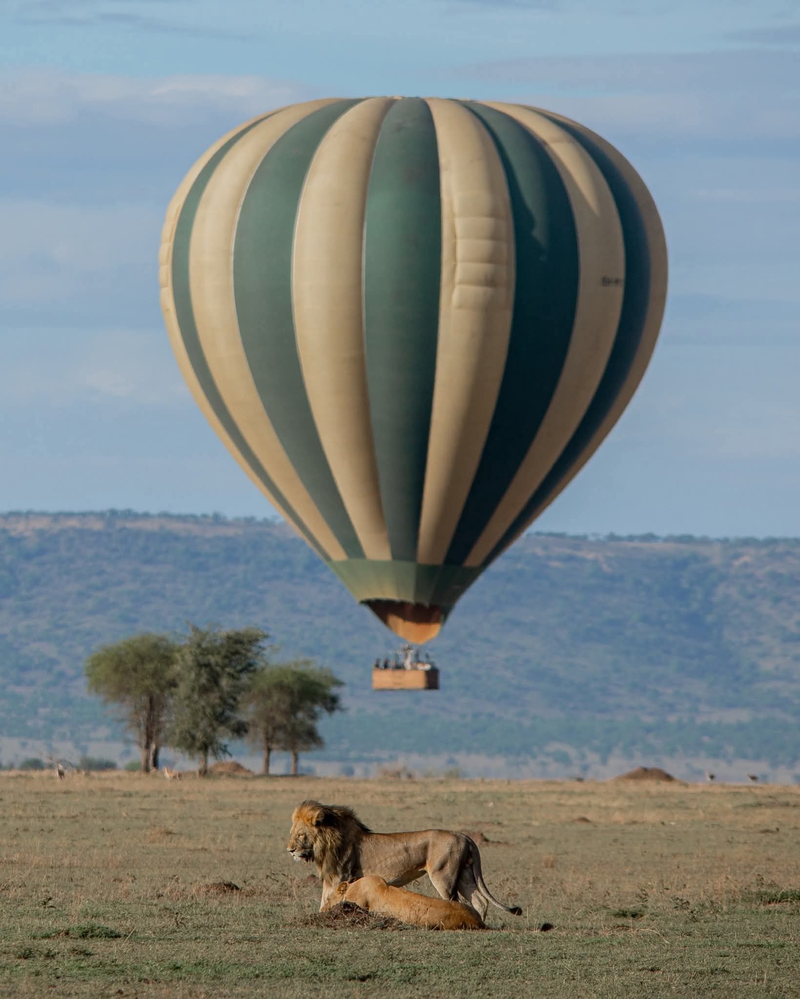 Safaris in Tanzania