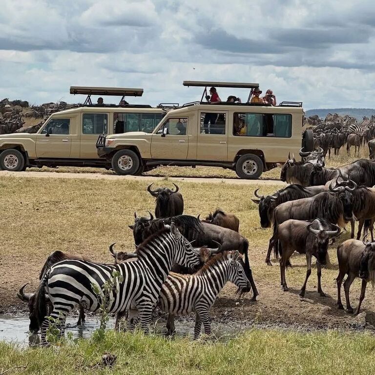 Safaris in Tanzania