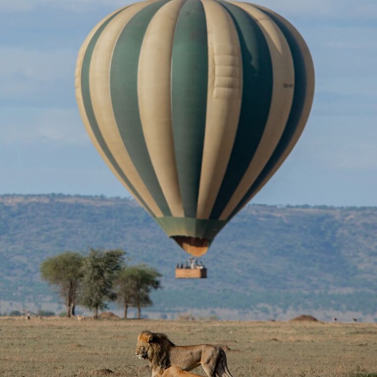 Safaris in Tanzania