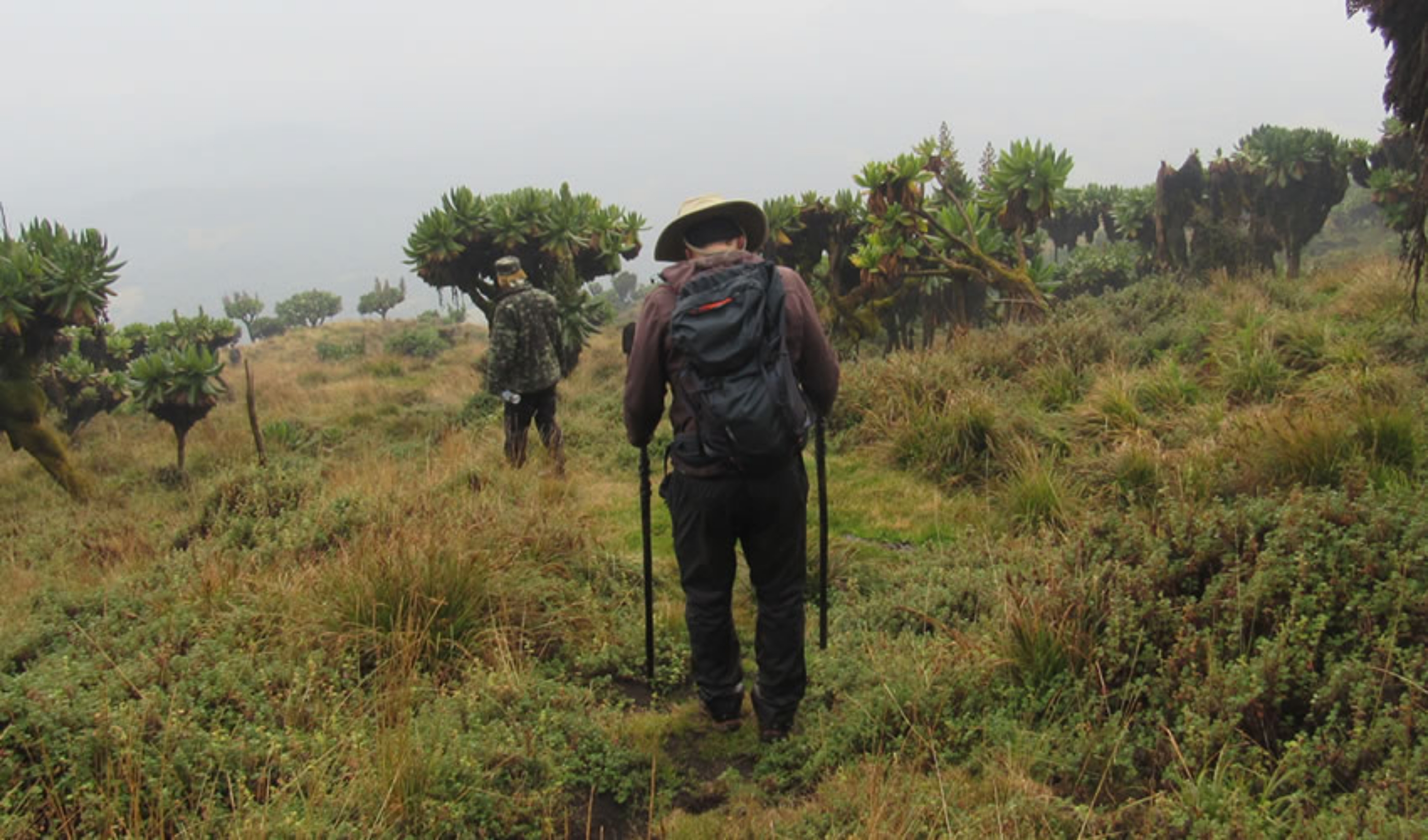 Private Tours Rwanda