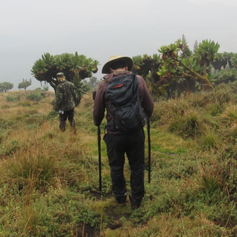 Private Tours Rwanda