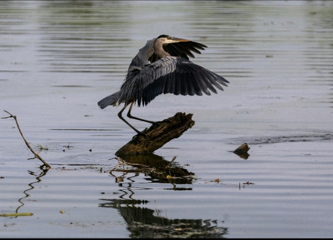 Visit the Black River