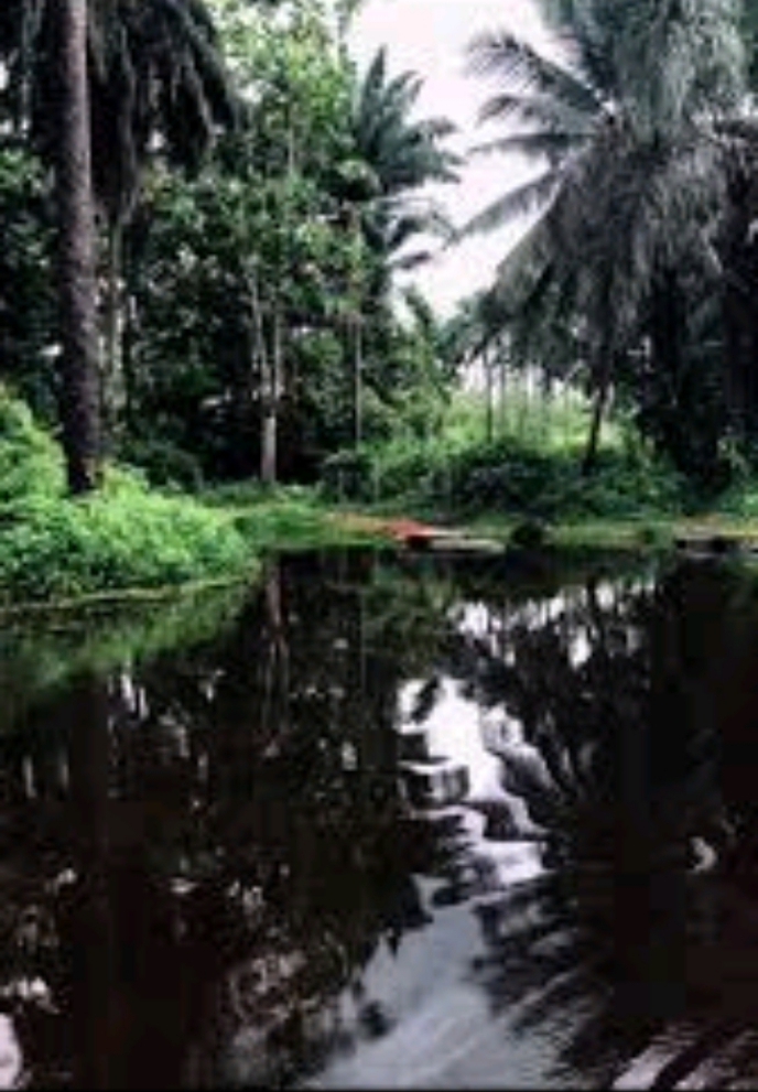 Visit the Black River