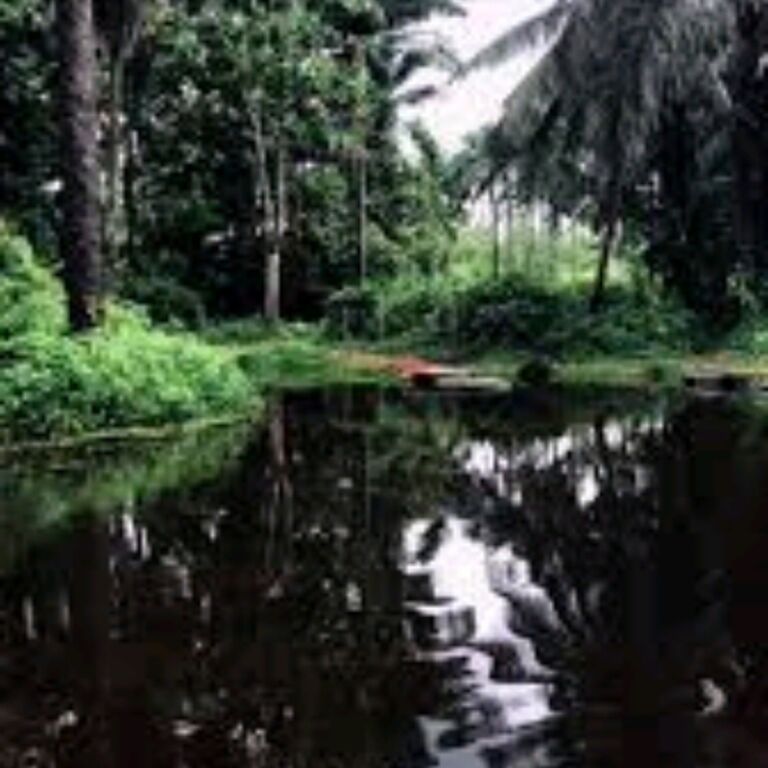 Visit the Black River
