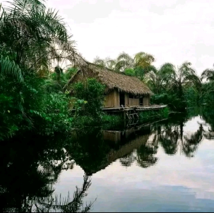 Visit the Black River