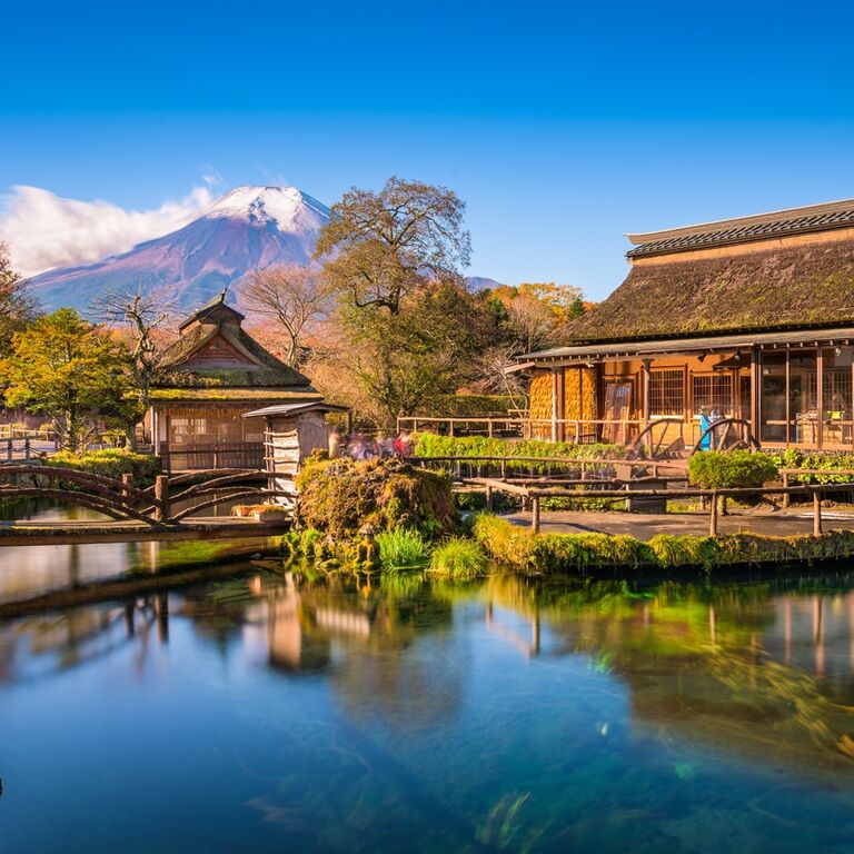 Tokyo VIP Tours