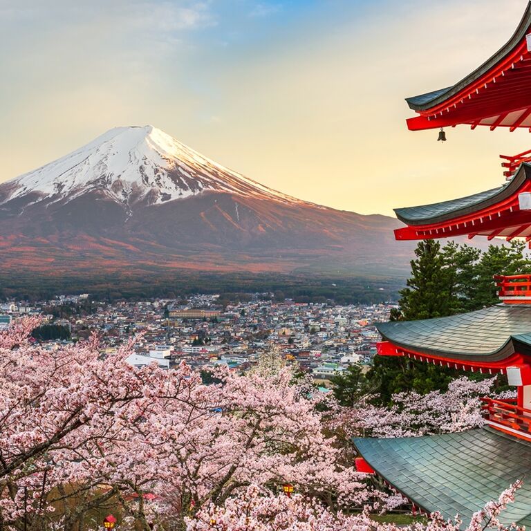 Tokyo VIP Tours