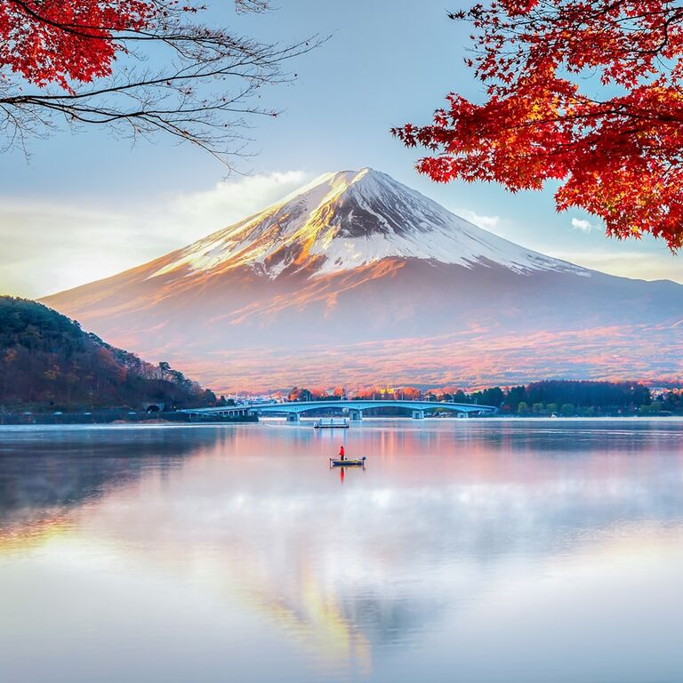 Tokyo VIP Tours